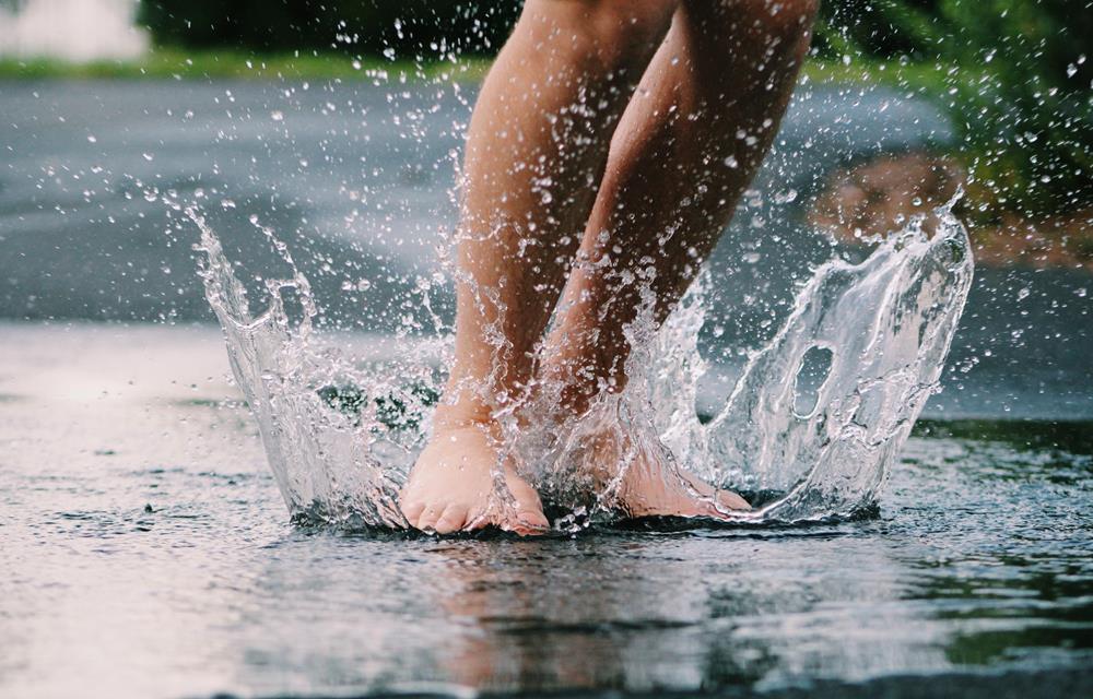 podiatry services Wesley Chapel, FL